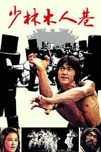 免费观看少林木人港,领略中华武术魅力